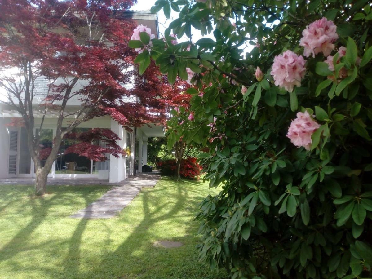 Villa Alice เลซา ภายนอก รูปภาพ